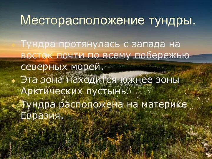 Месторасположение тундры. Тундра протянулась с запада на восток почти по всему побережью