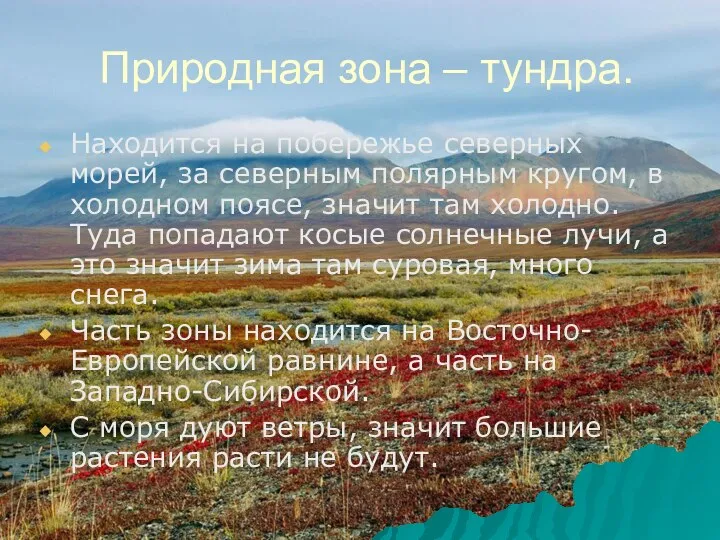 Природная зона – тундра. Находится на побережье северных морей, за северным полярным