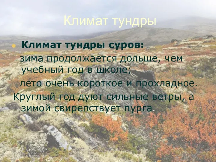 Климат тундры Климат тундры суров: зима продолжается дольше, чем учебный год в