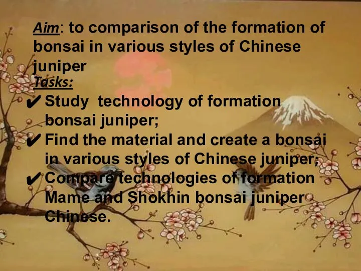 Aim: to comparison of the formation of bonsai in various styles of