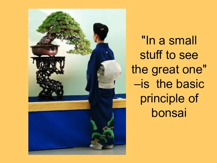 "In a small stuff to see the great one" –is the basic principle of bonsai