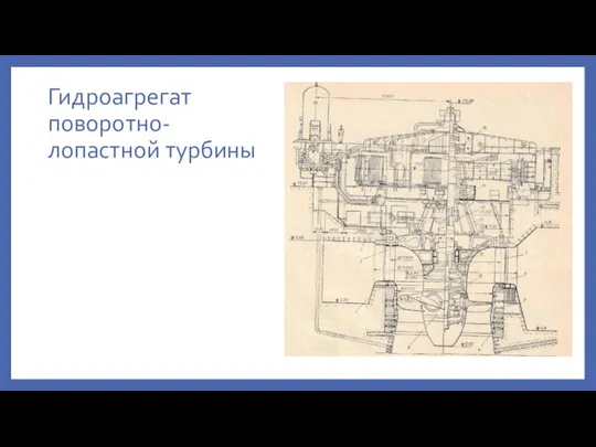 Гидроагрегат поворотно-лопастной турбины