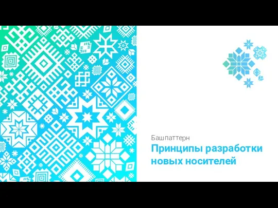 Башпаттерн Принципы разработки новых носителей