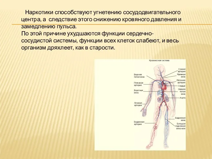 Наркотики способствуют угнетению сосудодвигательного центра, а следствие этого снижению кровяного давления и