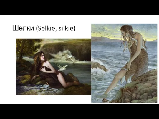 Шелки (Selkie, silkie)