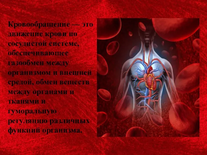Кровообращение — это движение крови по сосудистой системе, обеспечивающее газообмен между организмом