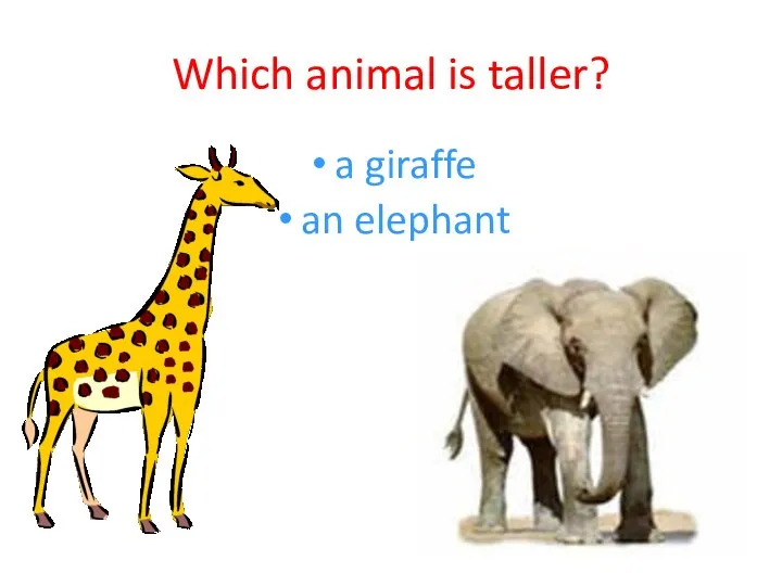 Which animal is taller? a giraffe an elephant