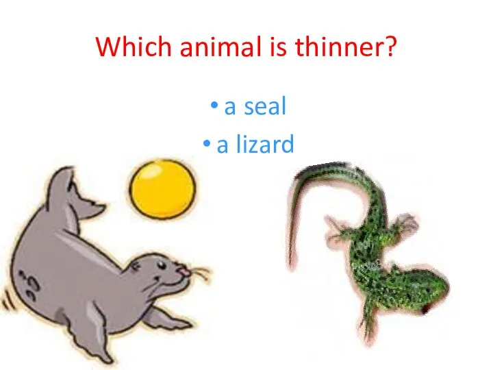 Which animal is thinner? a seal a lizard