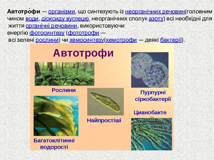 Автотро́фи — організми, що синтезують із неорганічних речовин(головним чином води, діоксиду вуглецю,