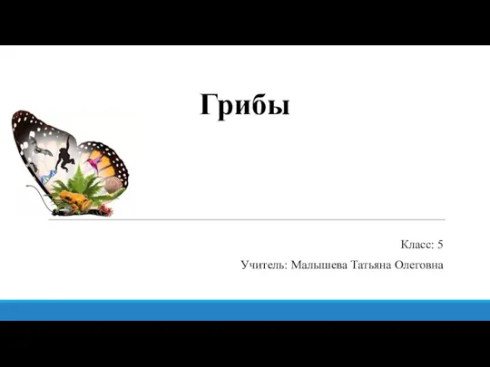 Грибы Класс: 5 Учитель: Малышева Татьяна Олеговна