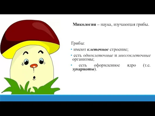 Микология – наука, изучающая грибы. Грибы: имеют клеточное строение; есть одноклеточные и