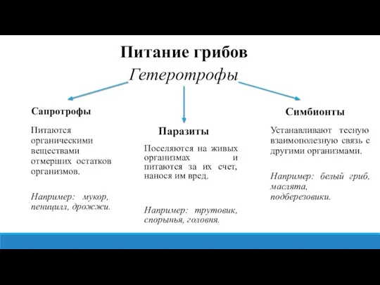 Питание грибов Гетеротрофы Сапротрофы Паразиты Симбионты Питаются органическими веществами отмерших остатков организмов.