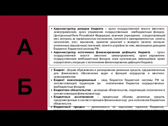 Администратор доходов бюджета – орган государственной власти (местного самоуправления), орган управления государственным