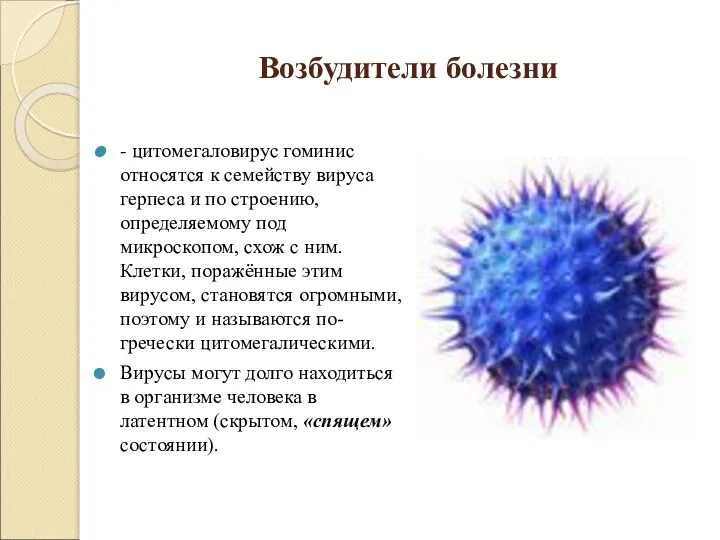 Возбудители болезни - цитомегаловирус гоминис относятся к семейству вируса герпеса и по