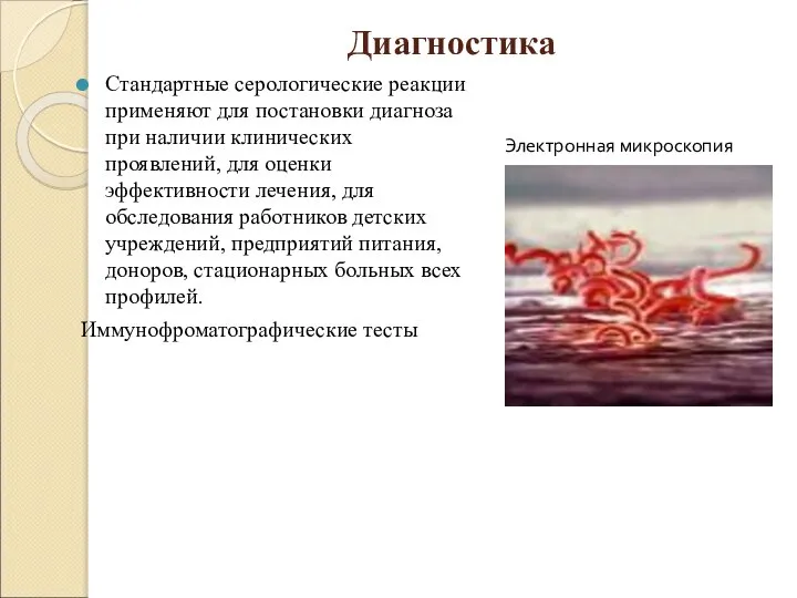 Диагностика Стандартные серологические реакции применяют для постановки диагноза при наличии клинических проявлений,