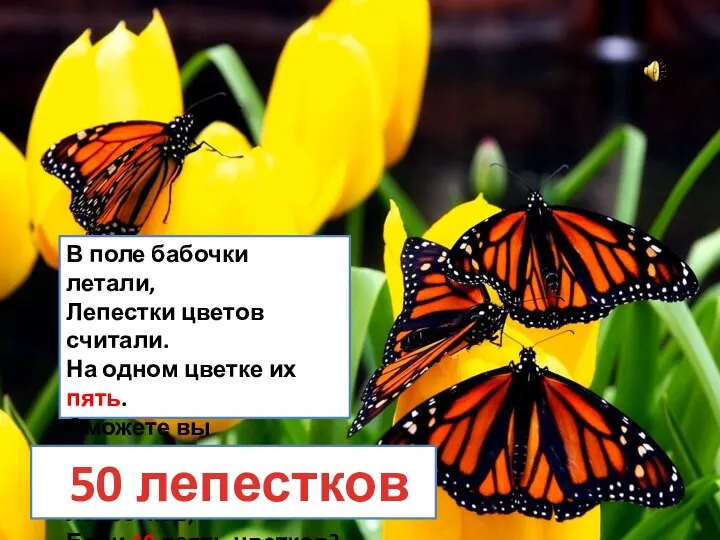 В поле бабочки летали, Лепестки цветов считали. На одном цветке их пять.