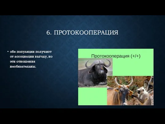 6. ПРОТОКООПЕРАЦИЯ обе популяции получают от ассоциации выгоду, но эти отношения необязательны.