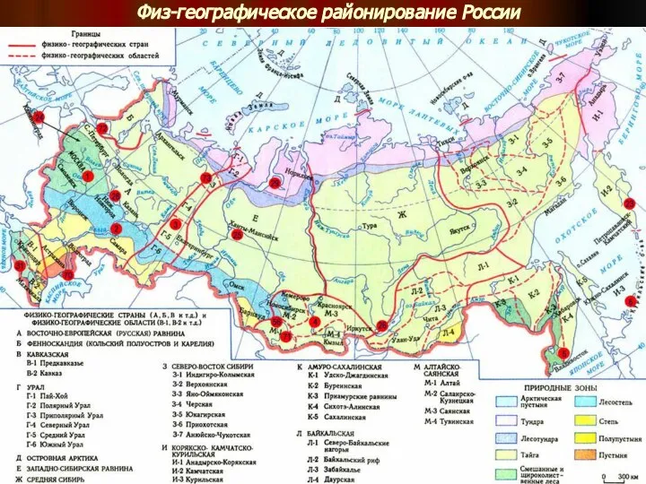 Физ-географическое районирование России