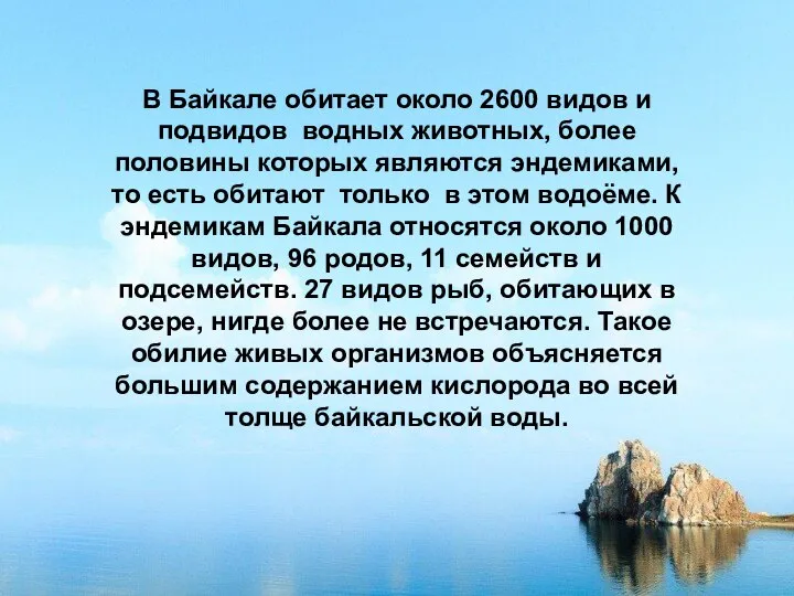 В Байкале обитает около 2600 видов и подвидов водных животных, более половины