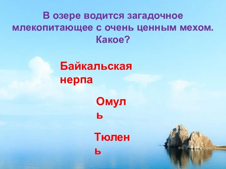 В озере водится загадочное млекопитающее с очень ценным мехом. Какое? Байкальская нерпа Омуль Тюлень