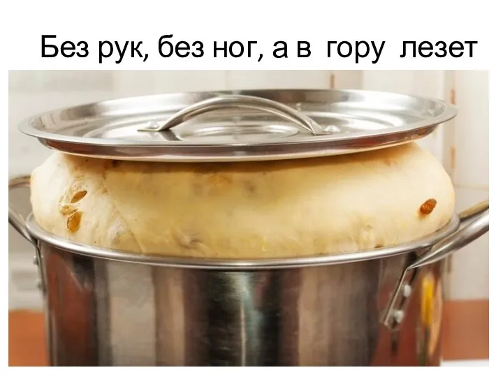 Без рук, без ног, а в гору лезет