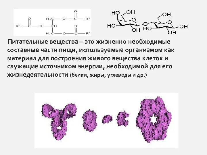 Питательные вещества – это жизненно необходимые составные части пищи, используемые организмом как