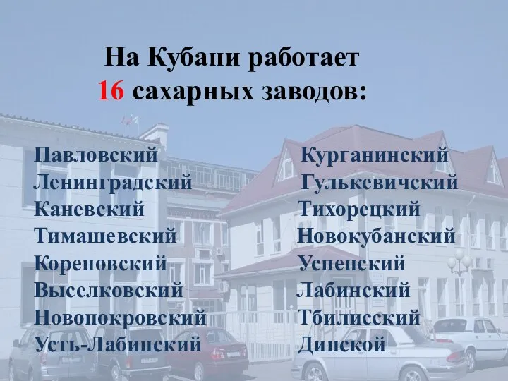 На Кубани работает 16 сахарных заводов: Павловский Курганинский Ленинградский Гулькевичский Каневский Тихорецкий