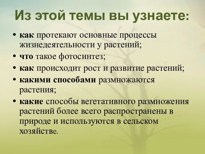 Из этой темы вы узнаете: как протекают основные процессы жизнедеятельности у растений;