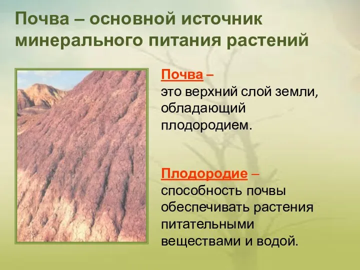 Почва – это верхний слой земли, обладающий плодородием. Почва – основной источник