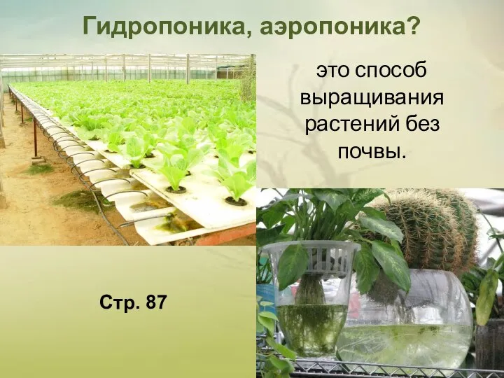 это способ выращивания растений без почвы. Гидропоника, аэропоника? Стр. 87