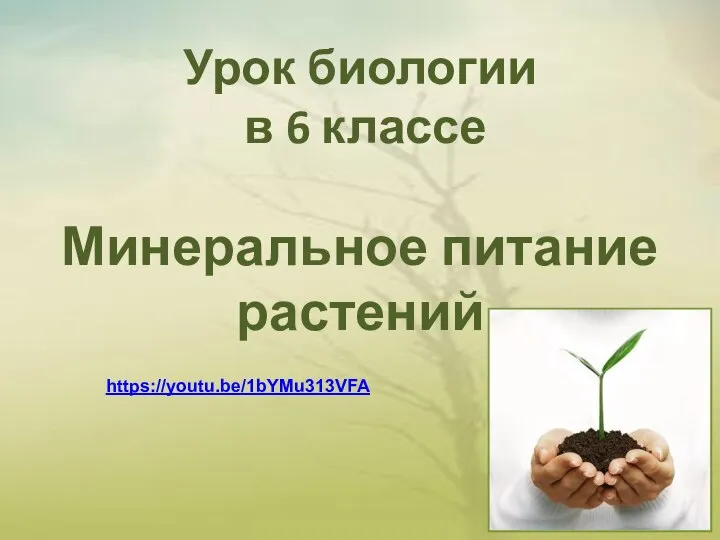 Урок биологии в 6 классе Минеральное питание растений https://youtu.be/1bYMu313VFA