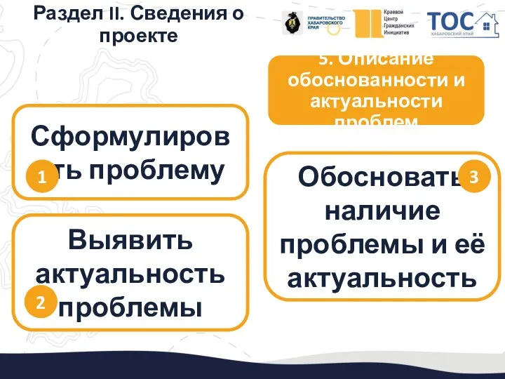 5. Описание обоснованности и актуальности проблем Раздел II. Сведения о проекте