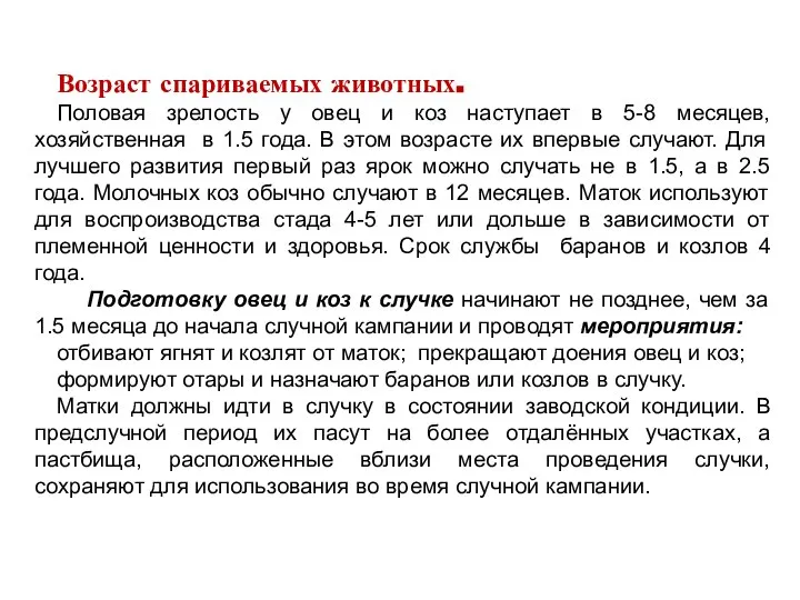 Возраст спариваемых животных. Половая зрелость у овец и коз наступает в 5-8