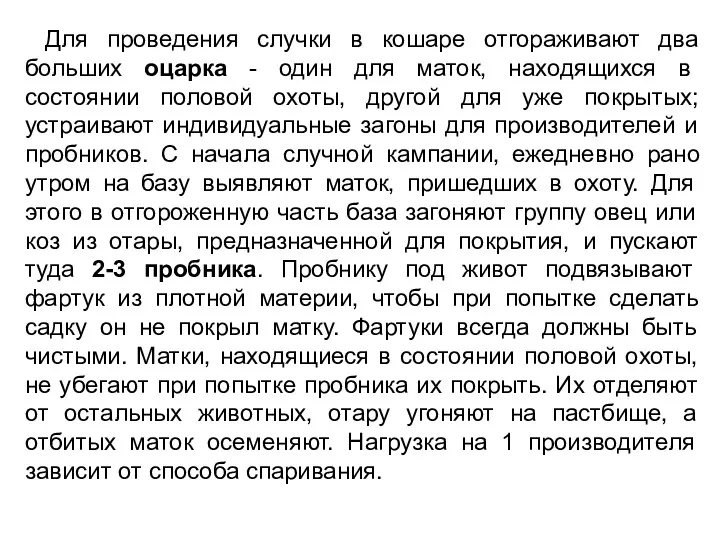 Для проведения случки в кошаре отгораживают два больших оцарка - один для