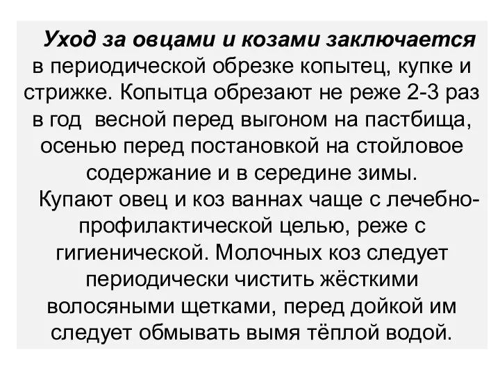 Уход за овцами и козами заключается в периодической обрезке копытец, купке и