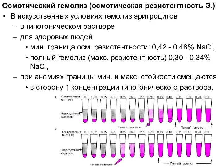 Осмотический гемолиз (осмотическая резистентность Э.) В искусственных условиях гемолиз эритроцитов в гипотоническом