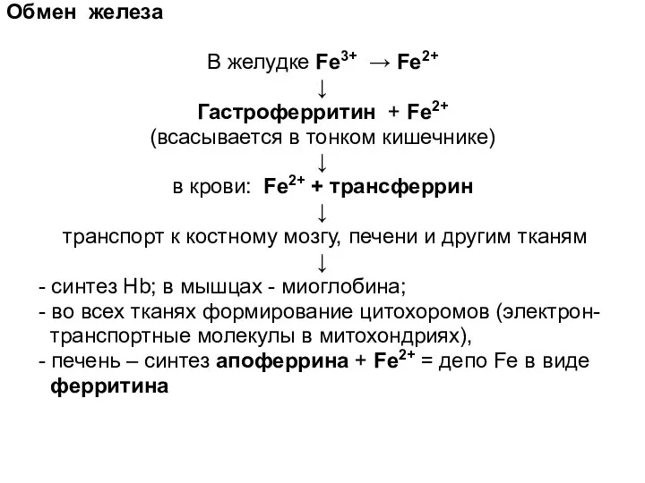 Обмен железа В желудке Fe3+ → Fe2+ ↓ Гастроферритин + Fe2+ (всасывается