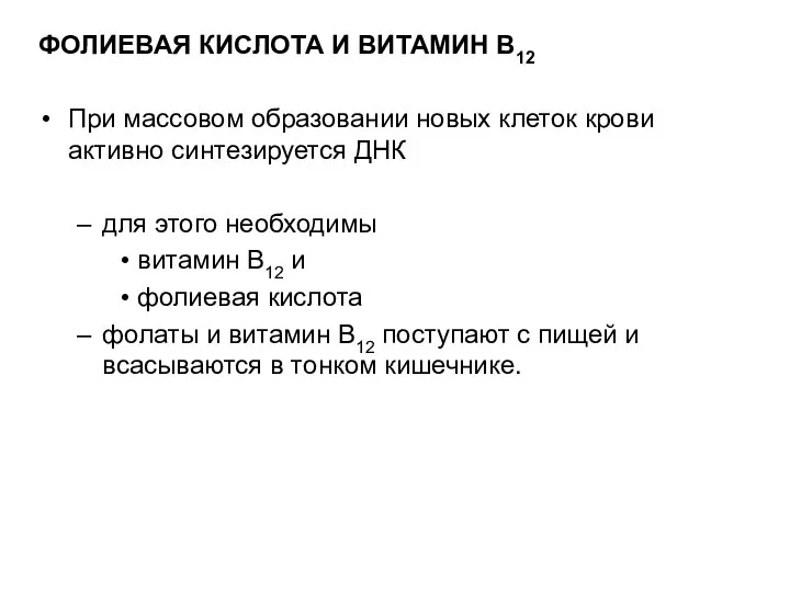 ФОЛИЕВАЯ КИСЛОТА И ВИТАМИН B12 При массовом образовании новых клеток крови активно