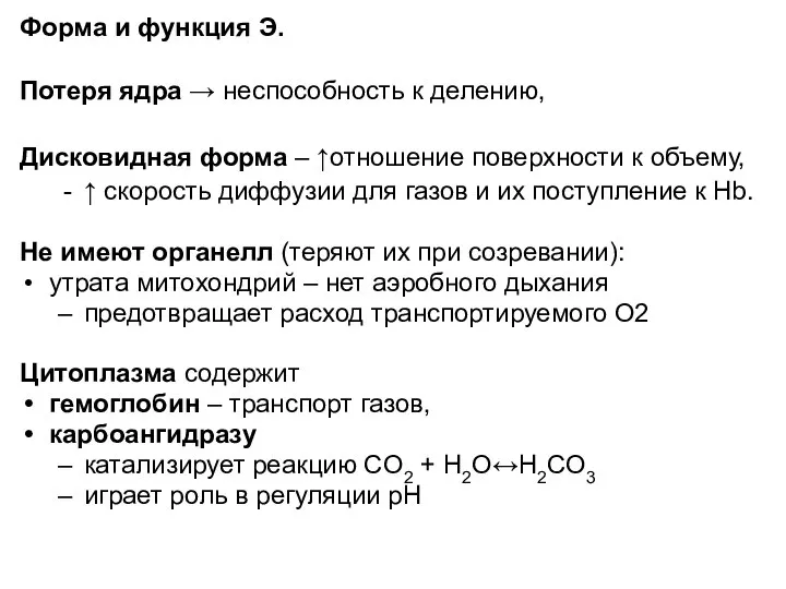 Форма и функция Э. Потеря ядра → неспособность к делению, Дисковидная форма