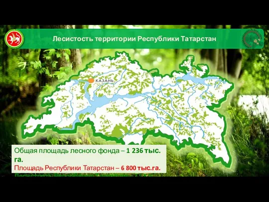 Общая площадь лесного фонда – 1 236 тыс.га. Площадь Республики Татарстан –