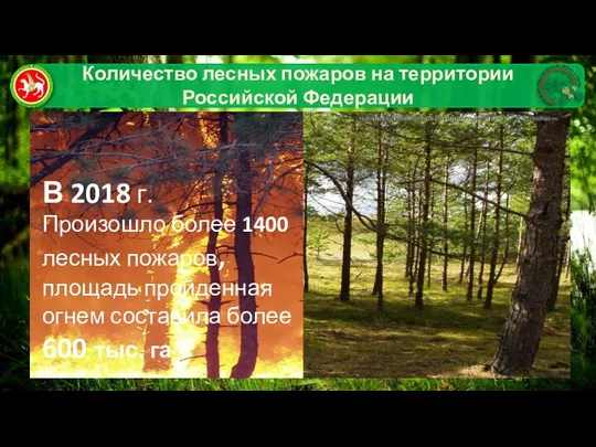 Количество лесных пожаров на территории Российской Федерации