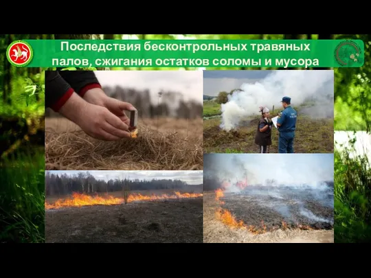 Последствия бесконтрольных травяных палов, сжигания остатков соломы и мусора