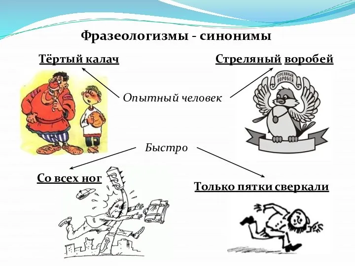 Фразеологизмы - синонимы Опытный человек Тёртый калач Стреляный воробей Быстро Со всех ног Только пятки сверкали