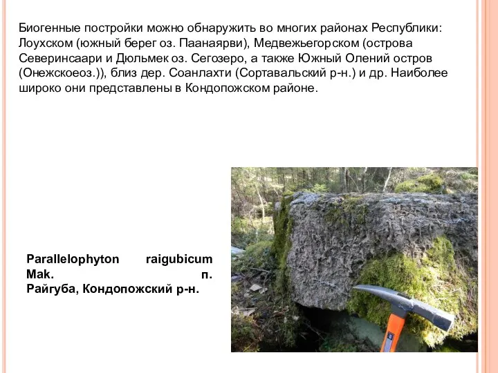 Биогенные постройки можно обнаружить во многих районах Республики: Лоухском (южный берег оз.