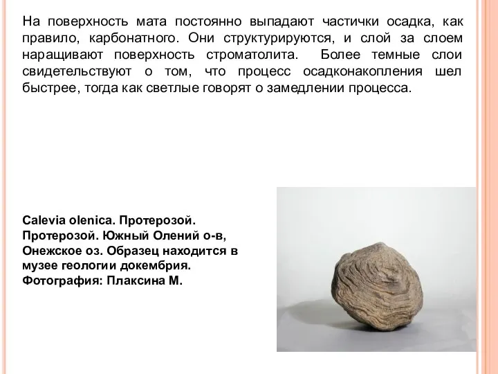 На поверхность мата постоянно выпадают частички осадка, как правило, карбонатного. Они структурируются,