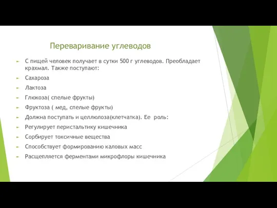 Переваривание углеводов С пищей человек получает в сутки 500 г углеводов. Преобладает