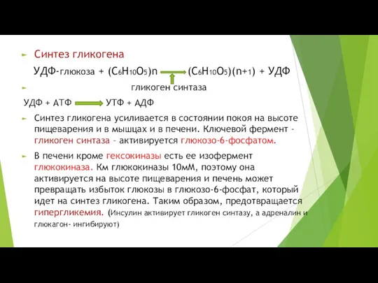 Синтез гликогена УДФ-глюкоза + (С6Н10О5)n (С6Н10О5)(n+1) + УДФ гликоген синтаза УДФ +