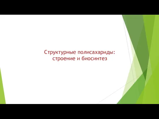 Структурные полисахариды: строение и биосинтез