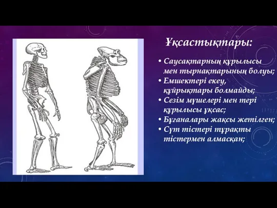 Саусақтарның құрылысы мен тырнақтарының болуы; Емшектері екеу,құйрықтары болмайды; Сезім мүшелері мен тері