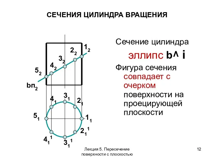Сечение цилиндра эллипс b^ i Фигура сечения совпадает с очерком поверхности на